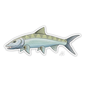 https://www.zefixflyfishing.de/wp-content/uploads/2022/06/Bonefish.jpg